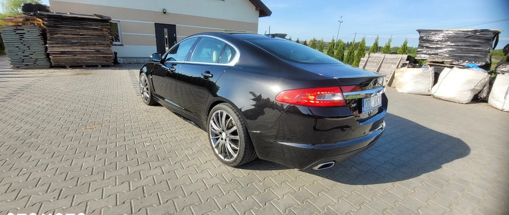 Jaguar XF cena 40000 przebieg: 151000, rok produkcji 2010 z Biecz małe 301